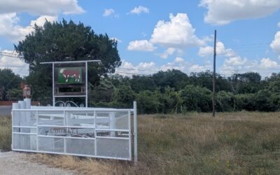 Results of Infiltration Testing at Dowell Ranch